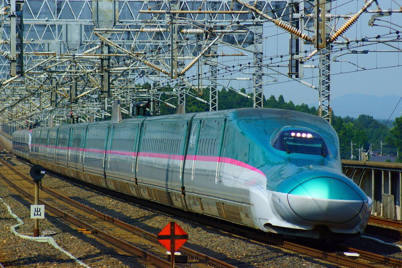 Day 10: Back to Tokyo