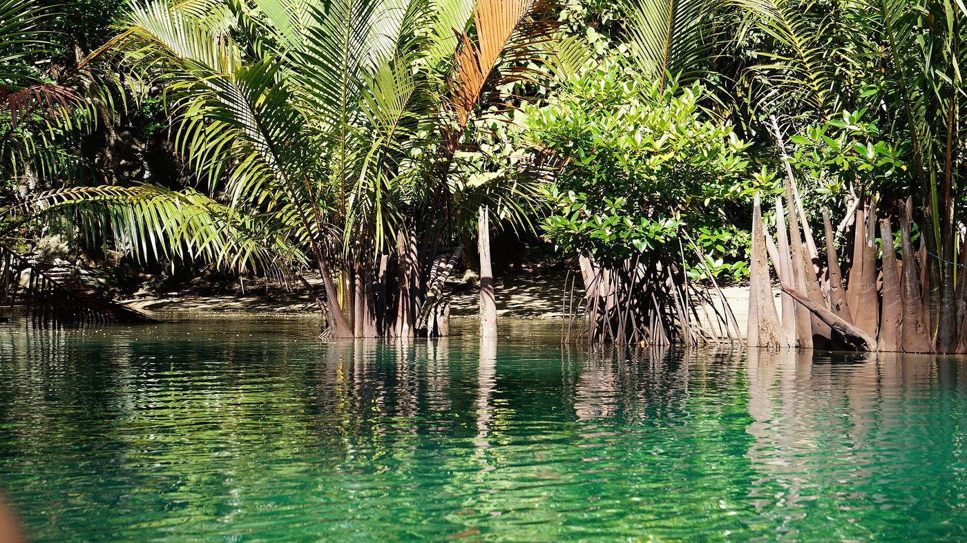 Day 10: Back to Puerto Princesa